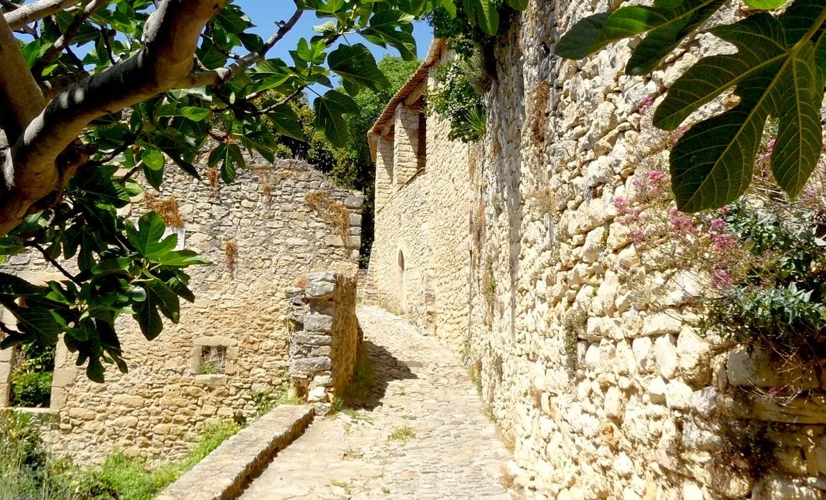 2020 - 2 (1) copie 2