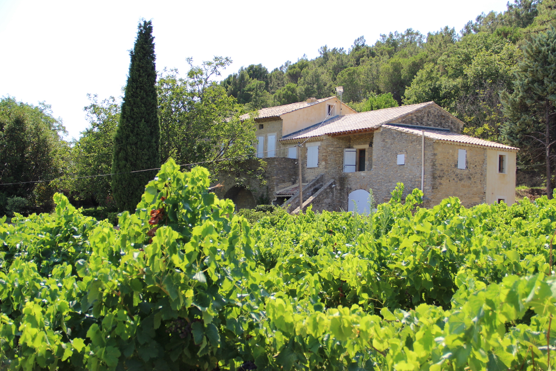96795 : Uzès 25 minutes, beautiful Mas completely renovated, 300m2 of living space, 8 bedrooms, swimming pool, panoramic view on 3,5 acres